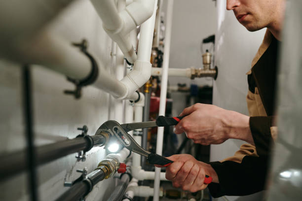 Best Clogged Drain Plumber  in Inkster, MI