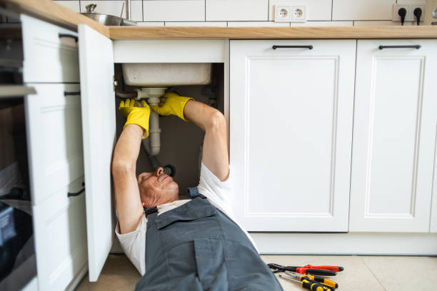 Best Leak Detection Services  in Inkster, MI